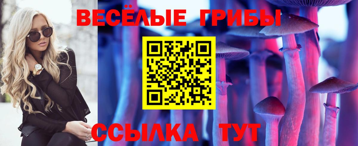 Галлюциногенные грибы Psilocybe  Галлюциногенные грибы ЛСД  Вход с VPN  Краснознаменск 